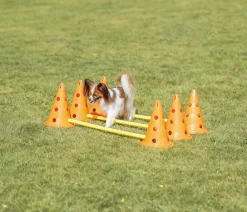 Trixie Hundespielzeug - Pylonen-Hindernis-Set, 9-teilig