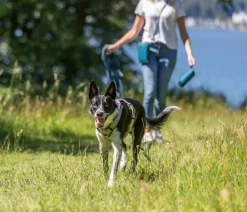 Trixie Schleppleine gummiert, S-M, petrol Blau Outlet