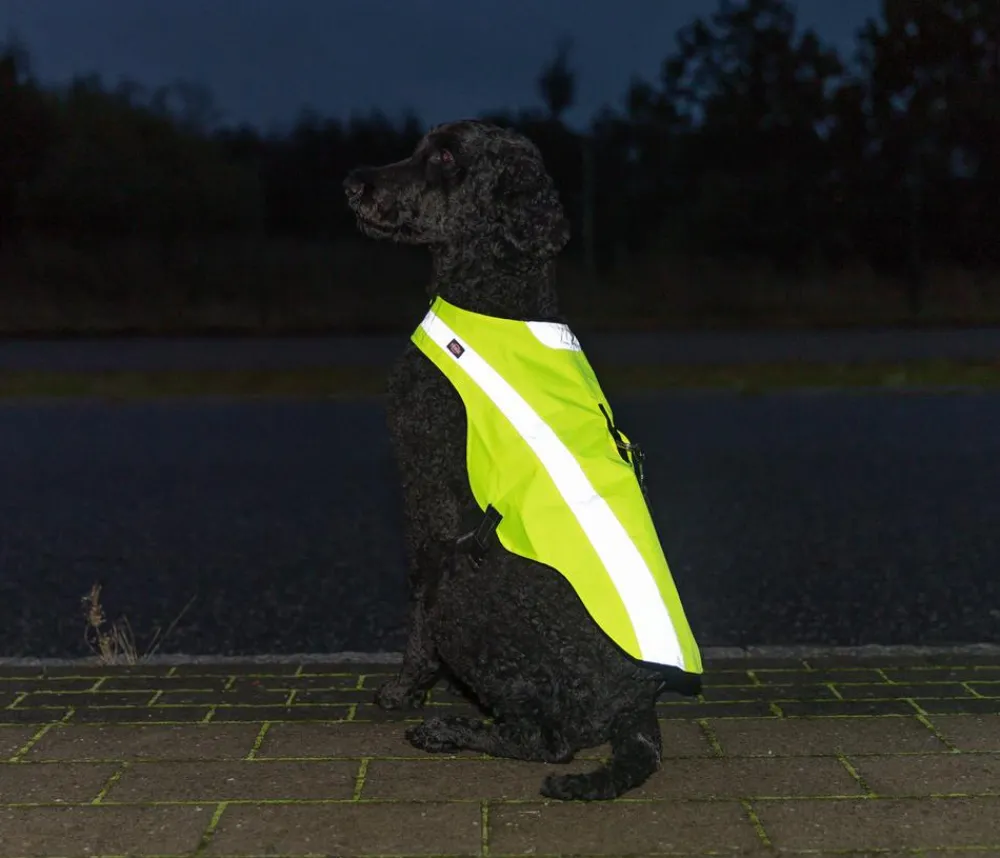Trixie Sicherheitsweste für Hunde, neon Gelb