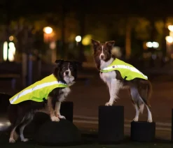 Trixie Mehr Hundezubehör|Mehr Transport & Unterwegs > Sicherheitsweste für Hunde, neon