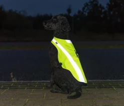 Trixie Mehr Hundezubehör|Mehr Transport & Unterwegs > Sicherheitsweste für Hunde, neon