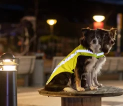 Trixie Mehr Hundezubehör|Mehr Transport & Unterwegs > Sicherheitsweste für Hunde, neon