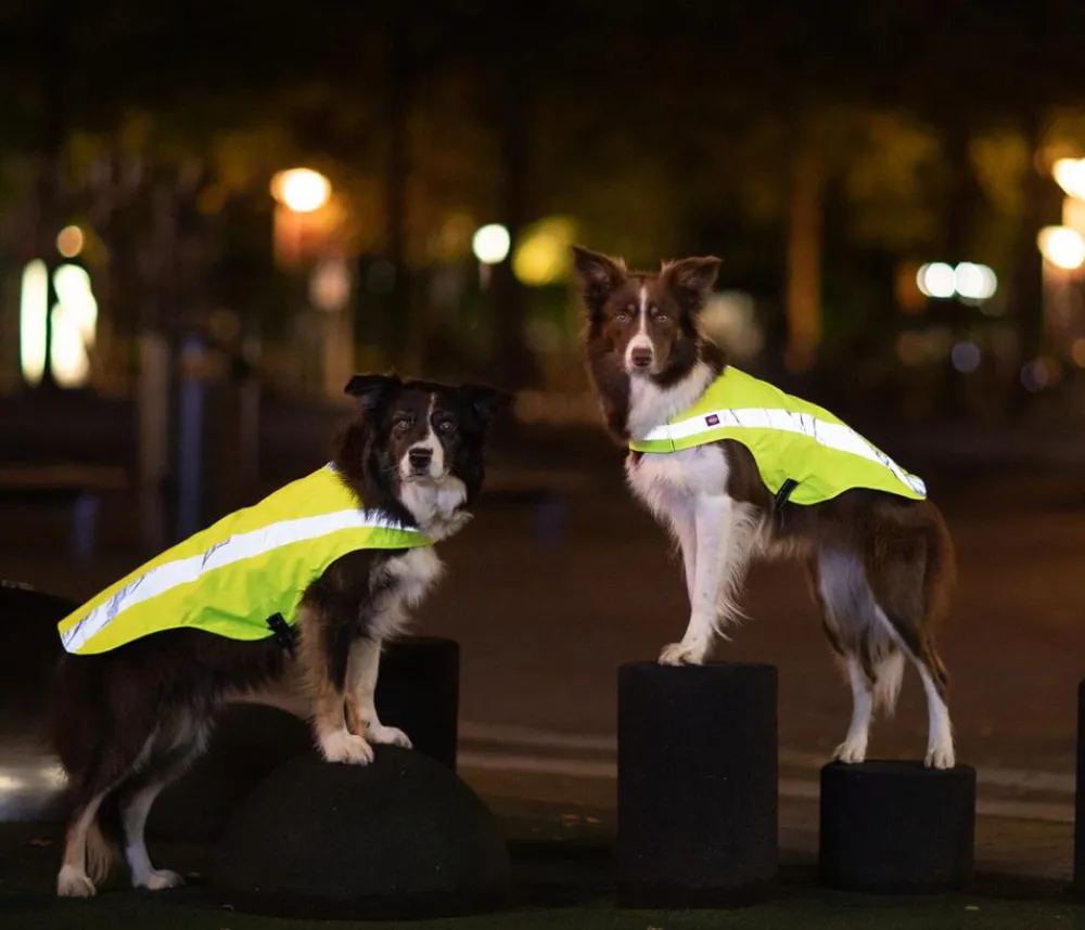 Trixie Mehr Hundezubehör|Mehr Transport & Unterwegs - Sicherheitsweste für Hunde, neon Gelb