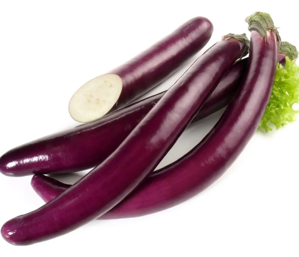 Dehner Auberginen- & Tomatenpflanzen|Gartengemüse - Türkische Aubergine Lila