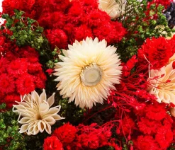 Dehner Trockenblumen - Trockenblumenbouquet Fantasy,