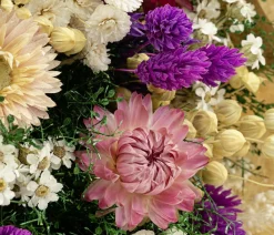 Dehner Trockenblumen > Trockenblumenbouquet Giardino, /