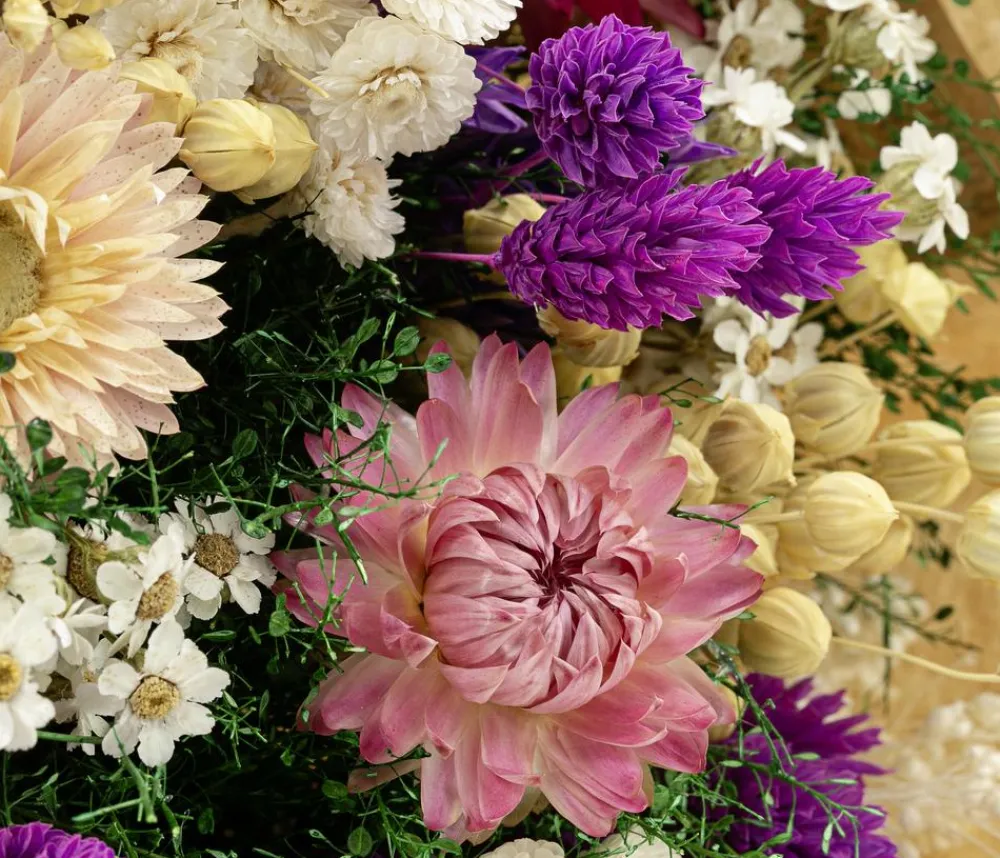 Dehner Trockenblumen > Trockenblumenbouquet Giardino, /