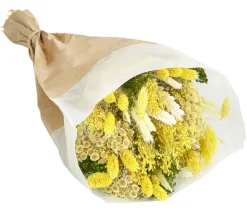 Dehner Trockenblumen > Trockenblumenbouquet Harmonie,