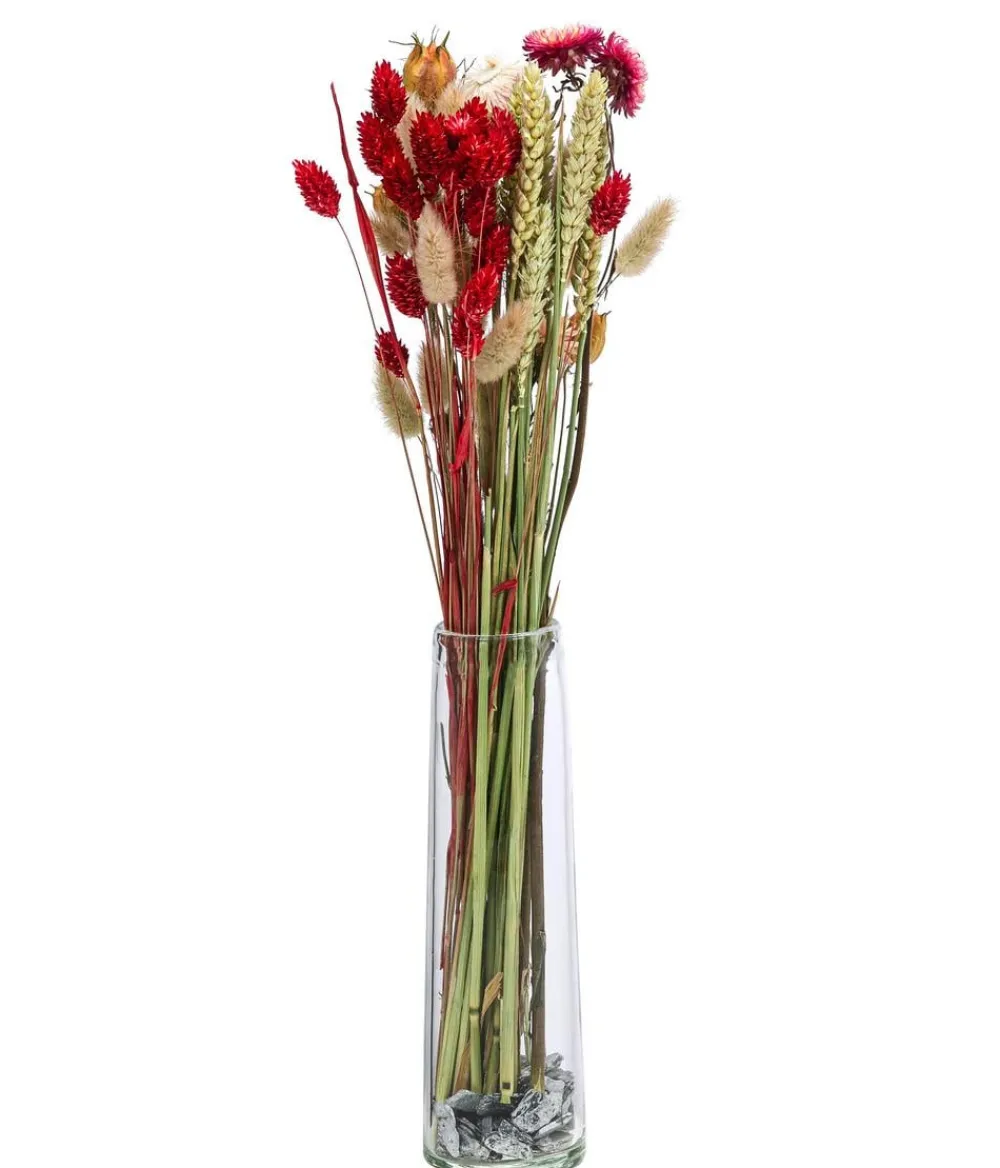 Dehner Trockenblumenbouquet Luna,