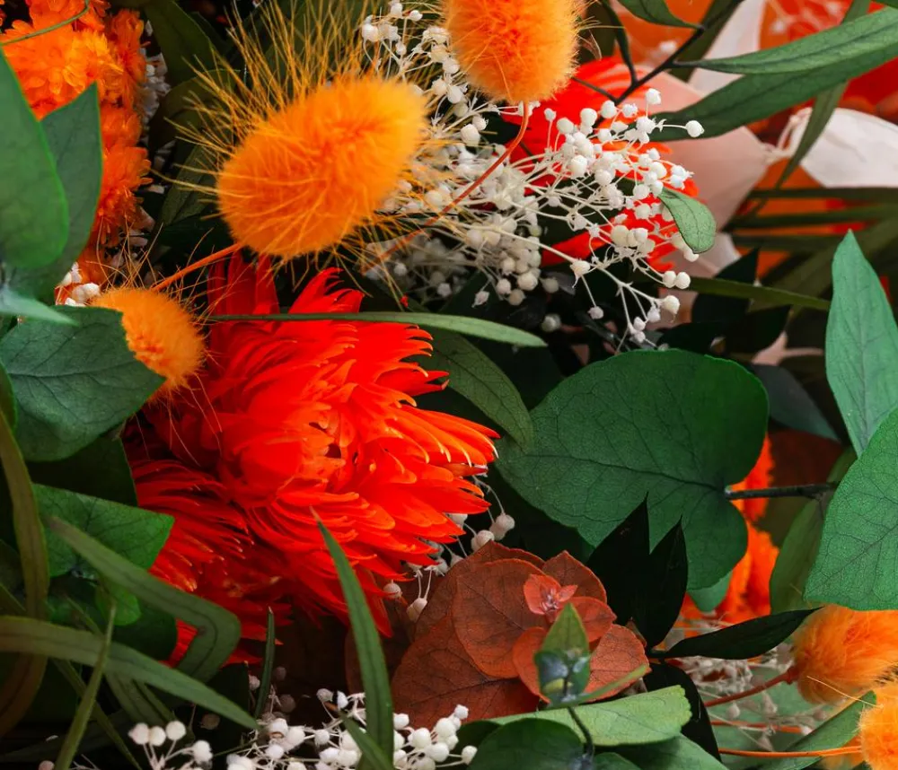 Dehner Trockenblumen - Trockenblumenbouquet Primavera,