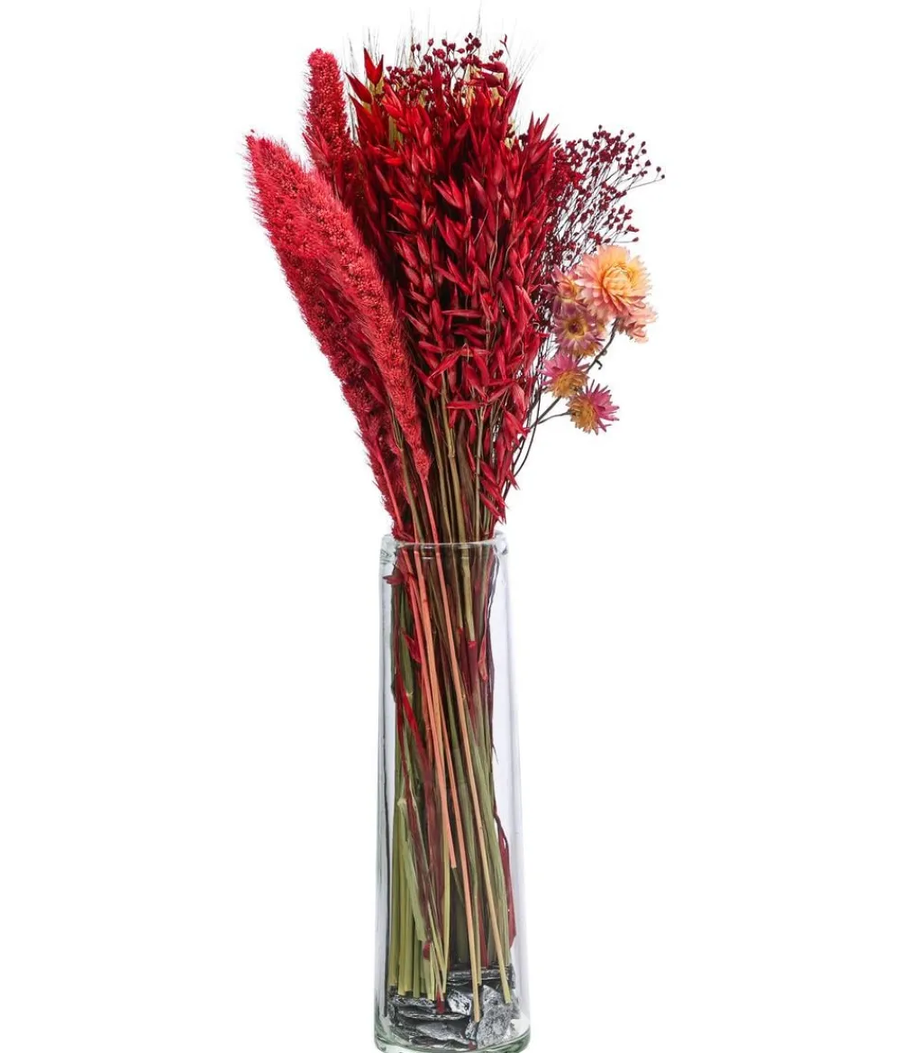 Dehner Trockenblumen - Trockenblumenbouquet Trendy,