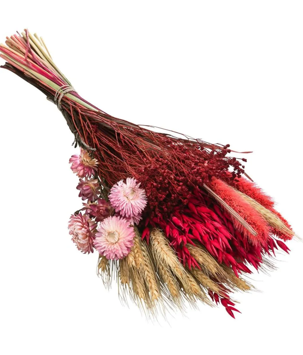 Dehner Trockenblumen - Trockenblumenbouquet Trendy,