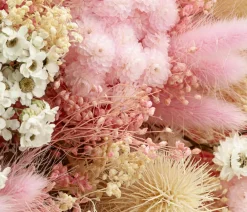 Dehner Trockenblumen - Trockenblumenbouquet Wow, /