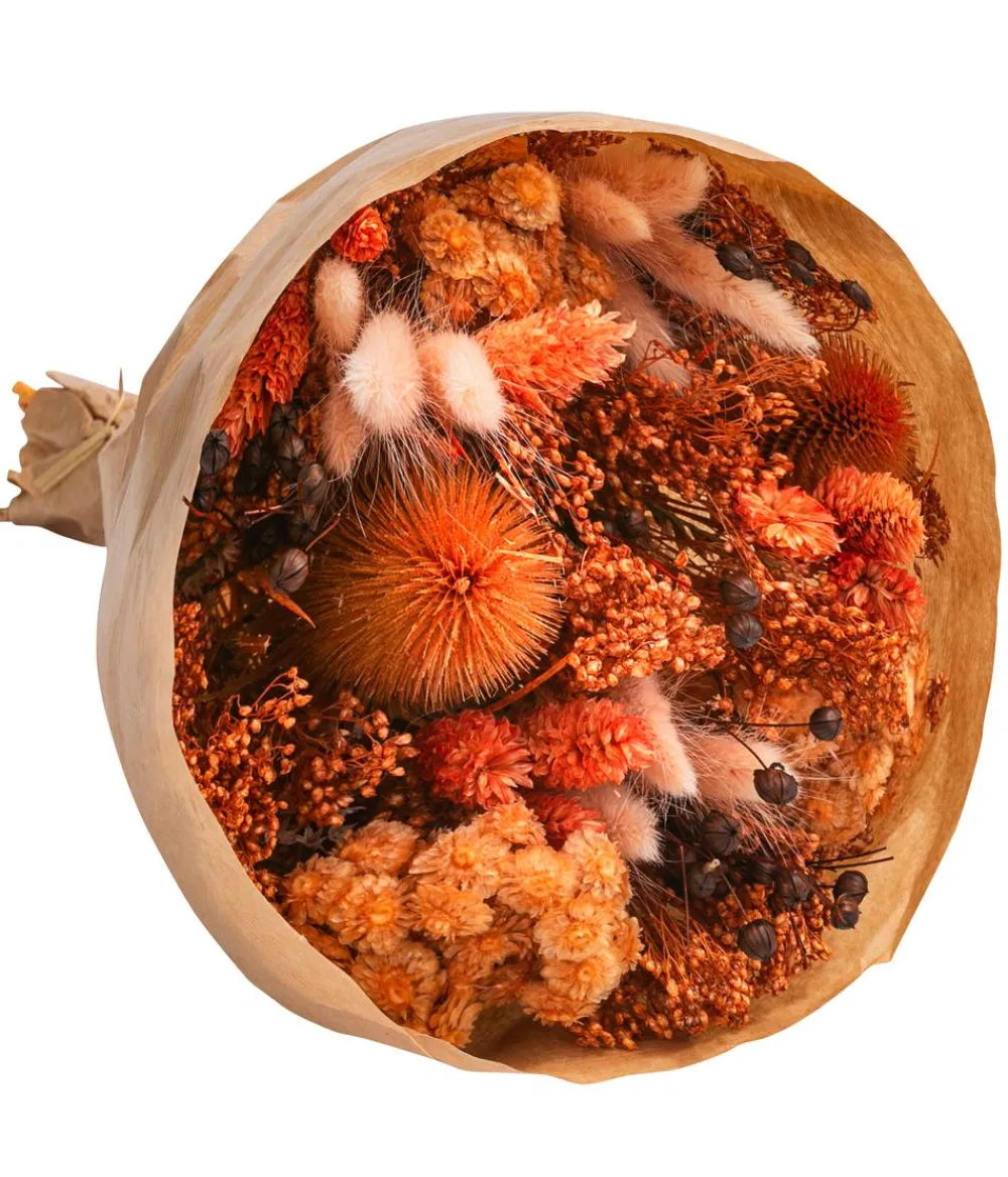 Dehner Trockenblumen - Trockenblumenbouquet Wow, terracotta Terrakotta