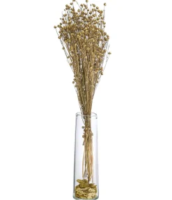 Dehner Trockenblumen - Trockenblumenbund Flachs, Gold