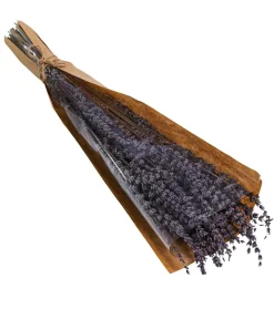 Dehner Trockenblumen > Trockenblumenbund Lavendel, 100g, ca. L45 cm