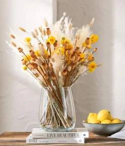 Dehner Trockenblumen - Trockenblumenbund Trommelschlägel Gelb