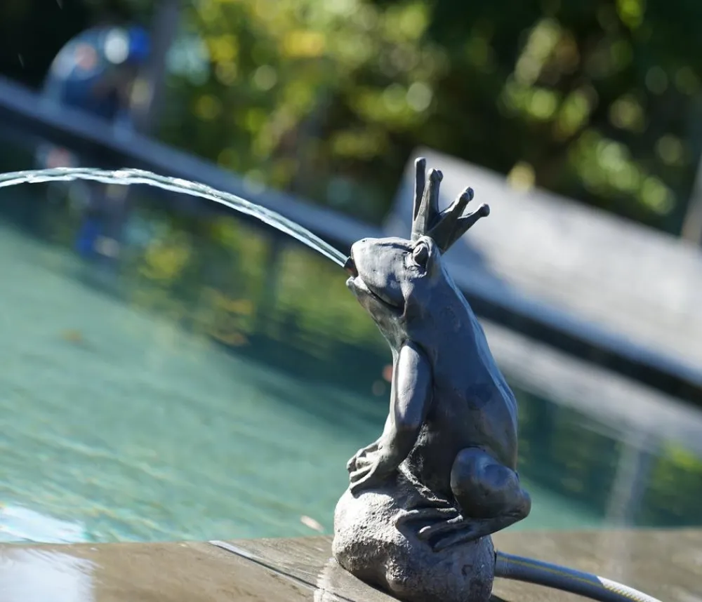 Ubbink Gartenbrunnen - Polyresin-Wasserspeier Froschkönigin, ca. B19/H27/T20 cm