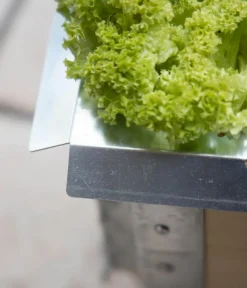upyard Hochbeete & Frühbeete - Schneckenkante Silber