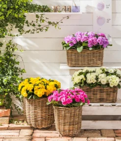 Van der Leeden Mehr Gartendekoration|Blumentöpfe & Übertöpfe - Rattan-Pflanzkorb, grau-braun