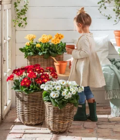 Van der Leeden Mehr Gartendekoration|Blumentöpfe & Übertöpfe - Rattan-Pflanzkorb, grau-braun