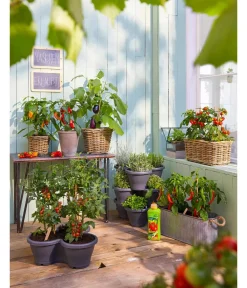 Van der Leeden Rattan-Pflanzkasten, braun Clearance
