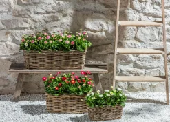 Van der Leeden Pflanzkübel & Blumenkästen - Rattan-Pflanzkasten, braun