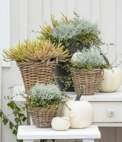 Van der Leeden Mehr Gartendekoration|Blumentöpfe & Übertöpfe > Rattan-Topf, konisch, grau-braun