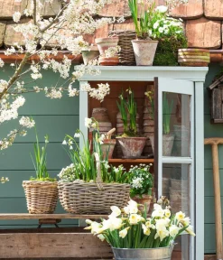 Van der Leeden Mehr Gartendekoration|Blumentöpfe & Übertöpfe - Rattan-Topf, konisch, grau-braun Natur