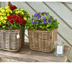 Van der Leeden Mehr Gartendekoration|Blumentöpfe & Übertöpfe > Rattan-Topf, quadratisch, grau-braun