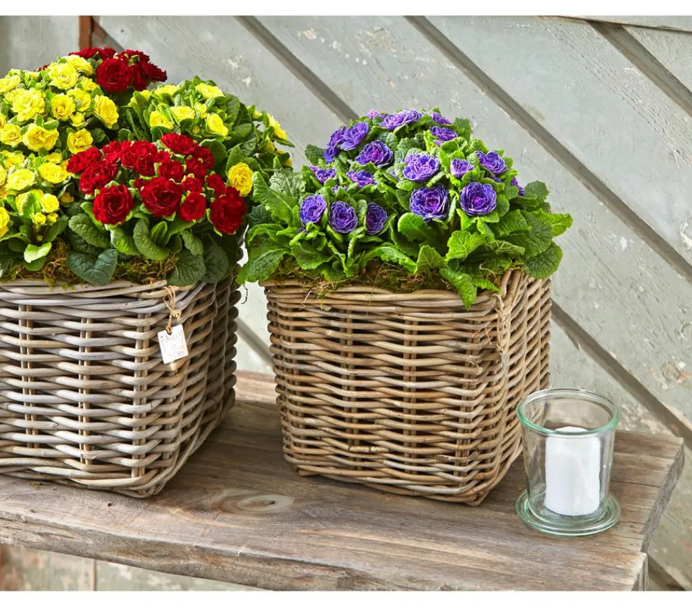Van der Leeden Mehr Gartendekoration|Blumentöpfe & Übertöpfe > Rattan-Topf, quadratisch, grau-braun