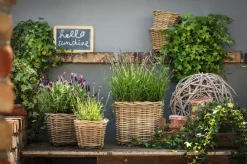 Van der Leeden Mehr Gartendekoration|Blumentöpfe & Übertöpfe > Rattan-Topf, quadratisch, grau-braun