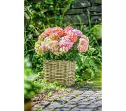 Van der Leeden Mehr Gartendekoration|Blumentöpfe & Übertöpfe - Rattan-Topf, quadratisch, grau-braun