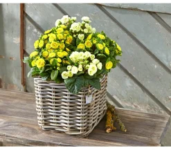 Van der Leeden Mehr Gartendekoration|Blumentöpfe & Übertöpfe - Rattan-Topf, quadratisch, grau-braun