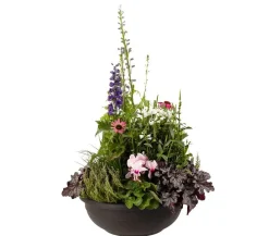 Vasar Blumenampeln & -Schalen - Kunststoff-Schale Aurora, rund, terrakotta Braun