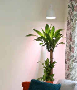 Venso Gewächshaus Zubehör > Lampenschirm Saga für Pflanzenlampe