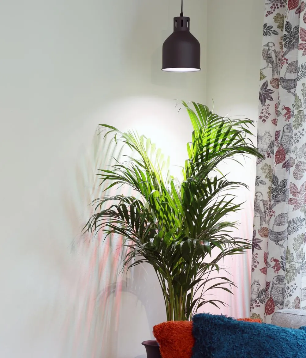 Venso Gewächshaus Zubehör - Lampenschirm Saga für Pflanzenlampe Dunkelgrau
