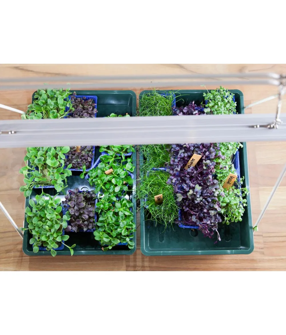 Venso Gewächshaus Zubehör - LED-Anzuchtlampe GrowLight Duo
