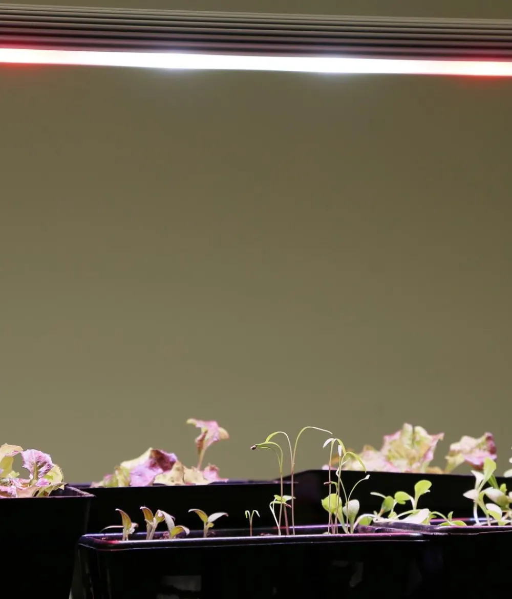 Venso Gewächshaus Zubehör - LED-Anzuchtlampe GrowLight Duo