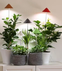 Venso Gewächshaus Zubehör > LED-Pflanzenlampe