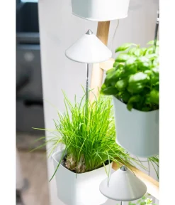 Venso Gewächshaus Zubehör > LED-Pflanzenlampe
