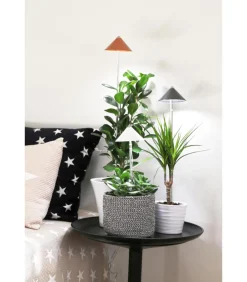 Venso LED-Pflanzenlampe Dunkelgrau Sale