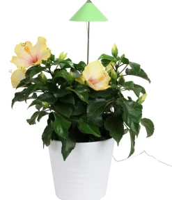 Venso Gewächshaus Zubehör - LED-Pflanzenlampe Hellgrün