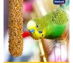Vitakraft® Vogelfutter & Snacks - Kräcker® Original Feather Care für Großsittiche, 2er Pack