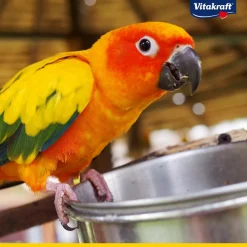 Vitakraft® Vogelfutter Amazonian für südamerikanische Papageien, 750 g Outlet