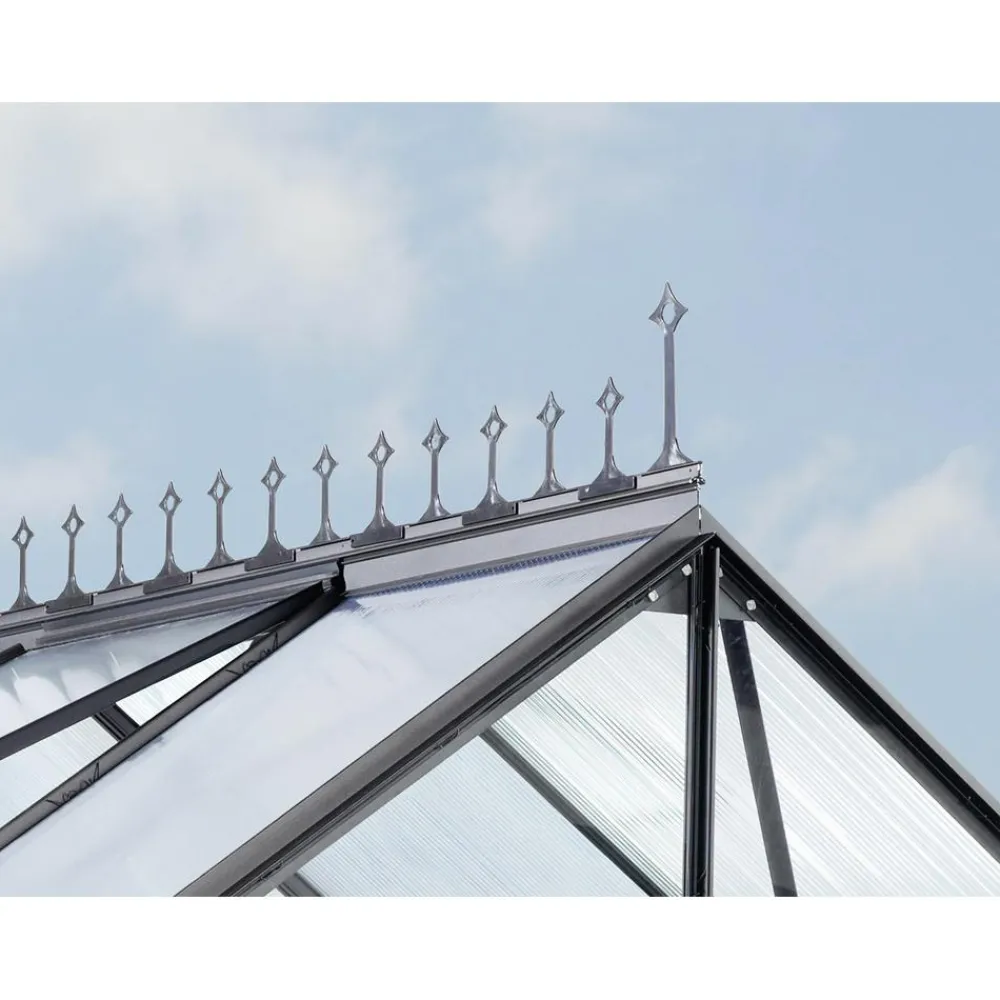 Vitavia Firstkrone Schwarz Clearance