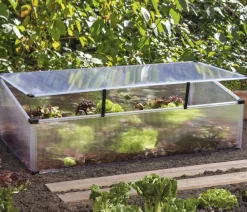 Vitavia Frühbeet Feronia, ca. B104/H36/T56 cm Transparent Clearance