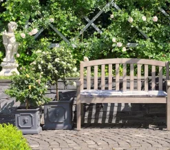 Dehner Terrassenpflanzen > Wandelröschen, Stämmchen