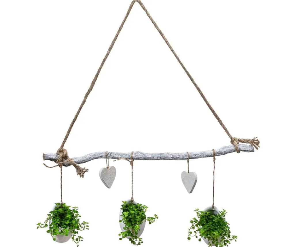 Dehner Hängepflanzen|Zimmerpflanzen Mit Übertopf > Wandhänger Herz mit Peperomie - Peperomia rotundifolia,