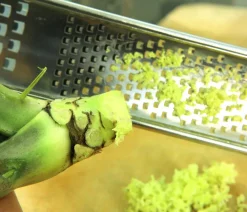 Dehner Garten- & Heilkräuter|Küchenkräuter > Wasabi